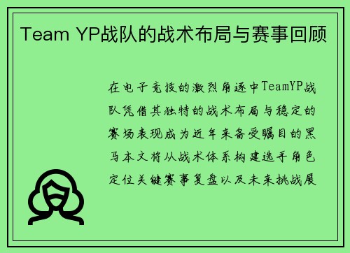Team YP战队的战术布局与赛事回顾